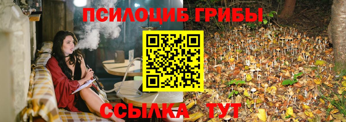 Павловский Посад  Галлюциногенные грибы GOLDEN TEACHER  Вход с VPN 